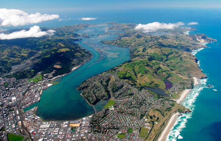 Sugar Dating Dunedin